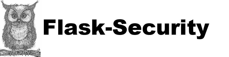 flasksecurity